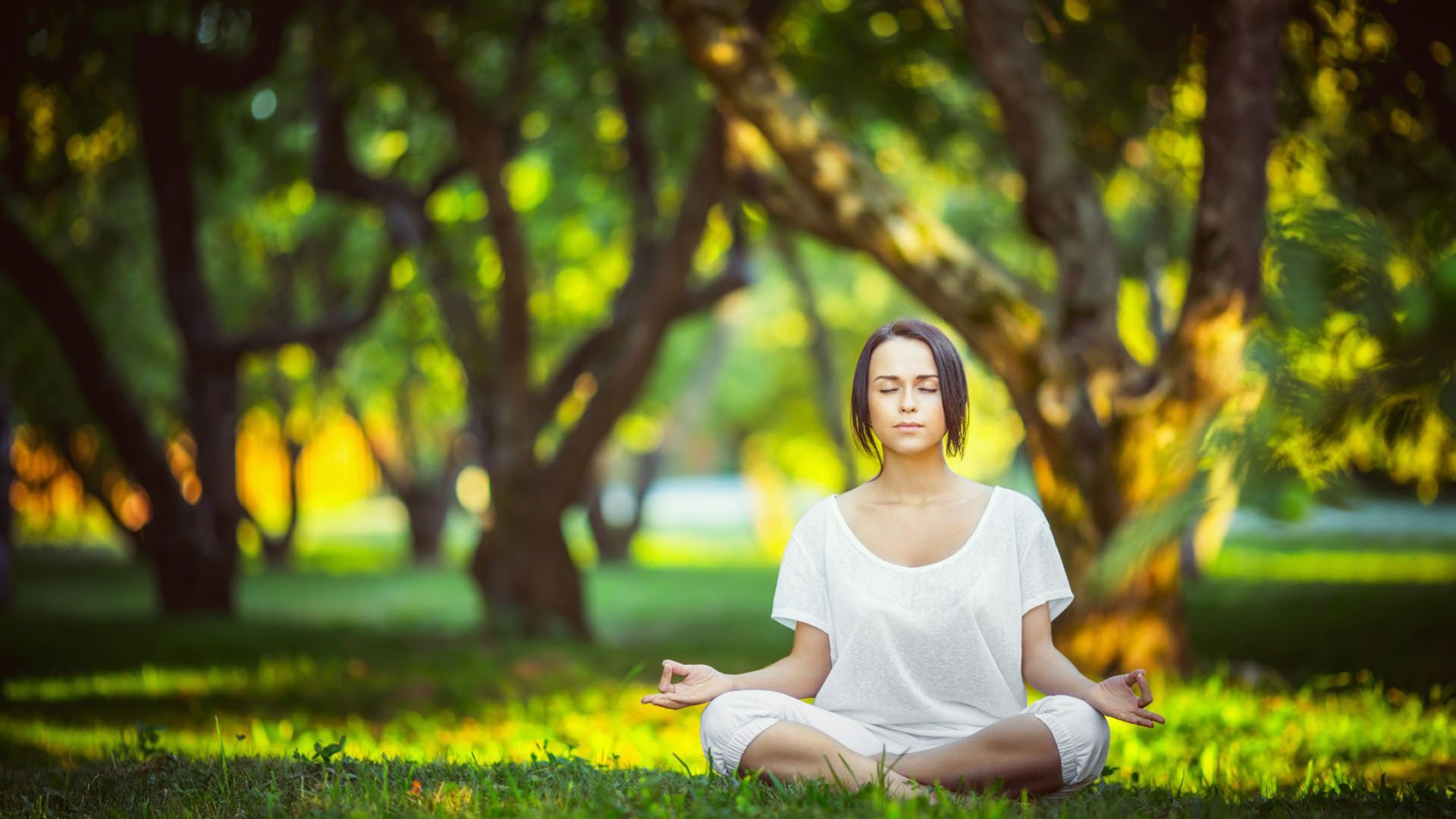 开云体育移动端-风云突变！太阳战术微调迎转折，湖人复出首秀，巴黎圣日耳曼竟为NBA总决赛调整名单？